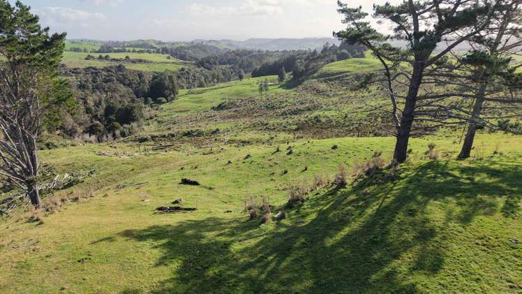 194 Toia Road Okaihau_19