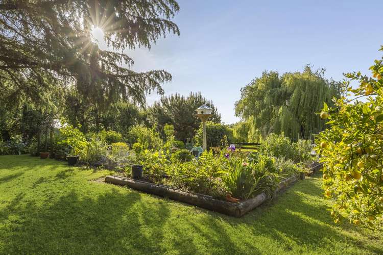 161 Paton Road Hope_23