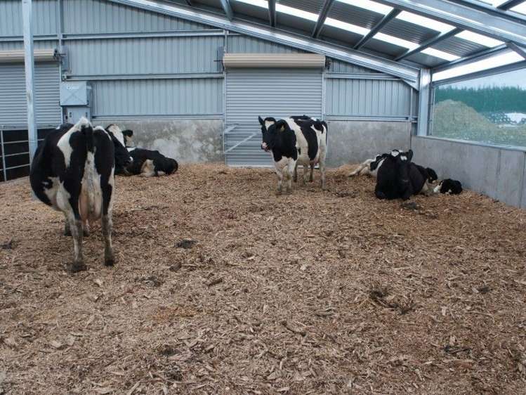 64 Haymans Road Waimate_7