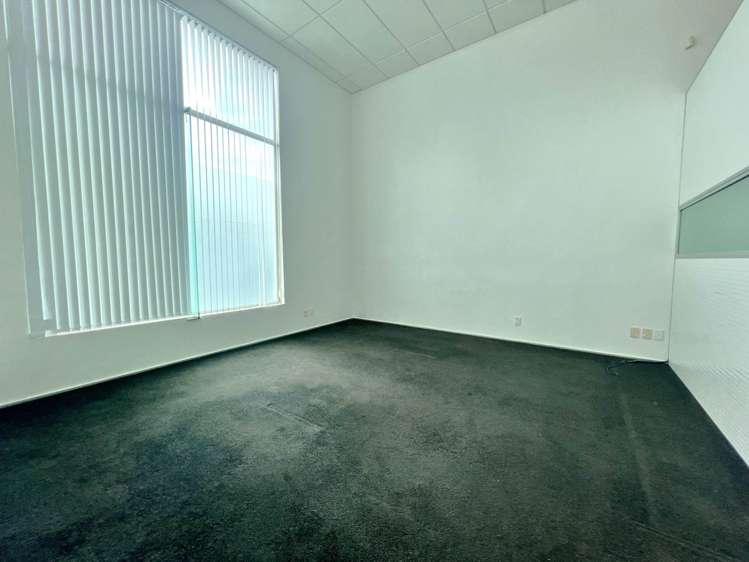 14 Normanby Road Mt Eden_5