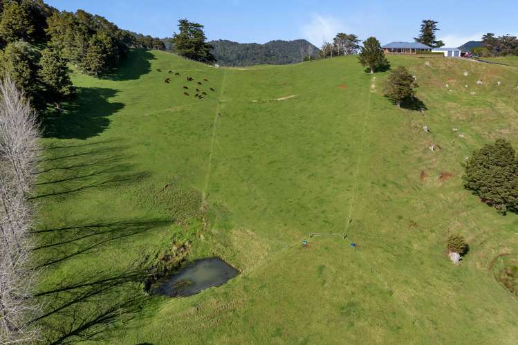 387 O'Carroll Road Maungakaramea_39