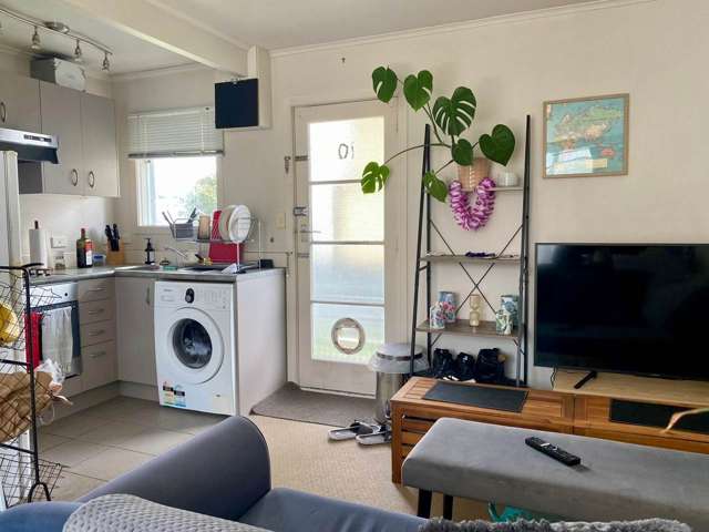 10/130A Balmoral Road Mt Eden_2