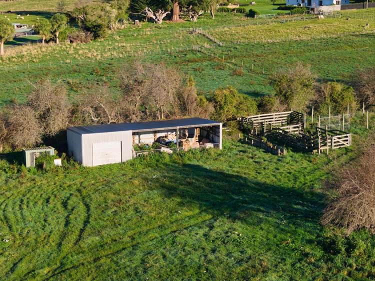 126 Harnetts Road Kaikoura_13
