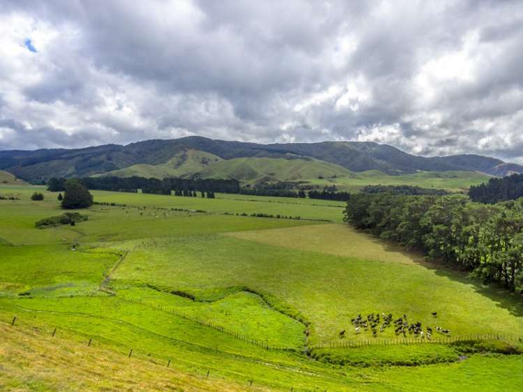 85274 State Highway 2 Eketahuna_10