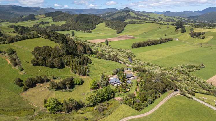 37 Kapowai Road Coroglen_3