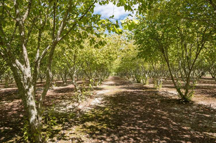 651 Wakefield-Kohatu Highway Wakefield_6