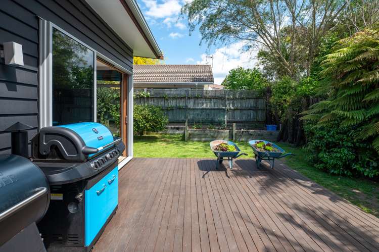 52A Springfield Road Springfield_27