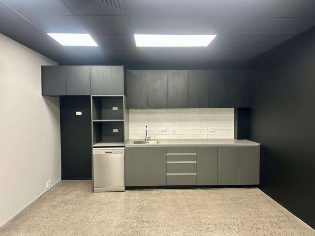 9A Hargreaves Street Freemans Bay_3