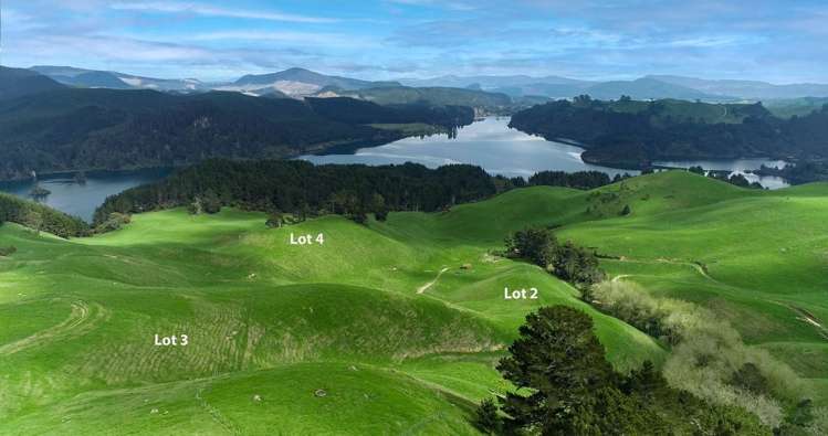 494B Dods Road Waikite Valley_19