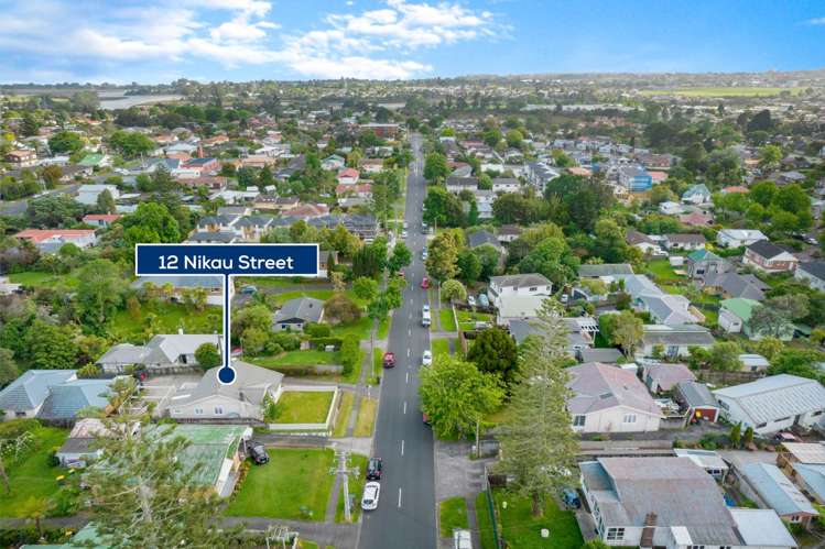 12 Nikau Street New Lynn_21