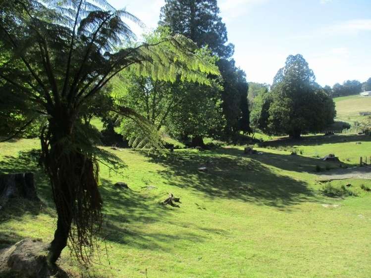 236 Smith Road Dannevirke_11