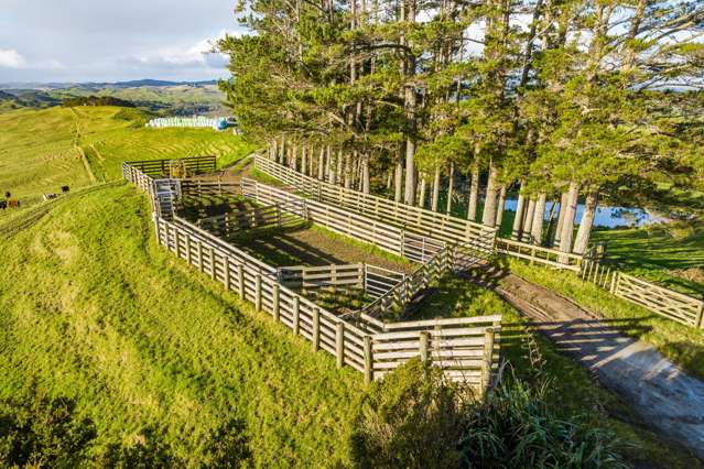 85 Lusk Road Ruawai_4