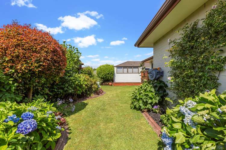 33 Turnberry Drive Wattle Downs_10