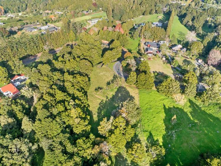 389A Crane Road Kauri_14