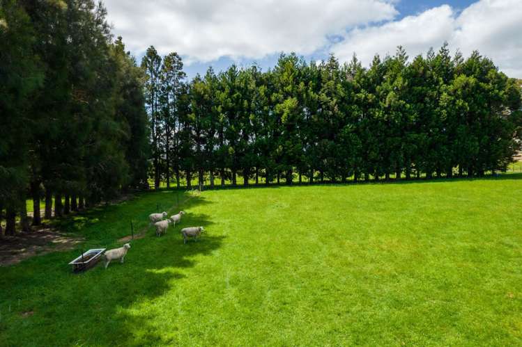 19 Valencia Lane Kerikeri_21