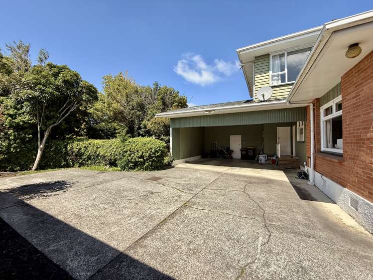 295 Racecourse Road Waverley_40