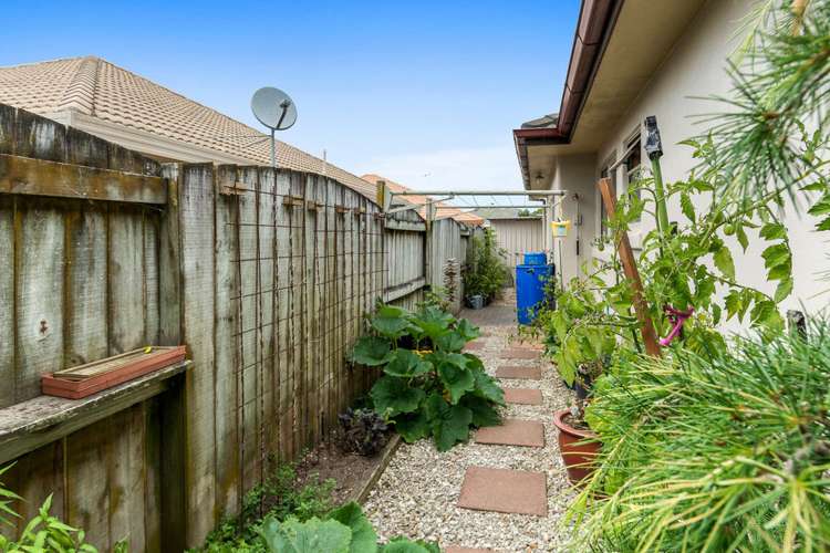 21 Lamia Grove Papamoa_19