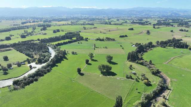 Prime 33ha Wairarapa Lifestyle & Finishing Block