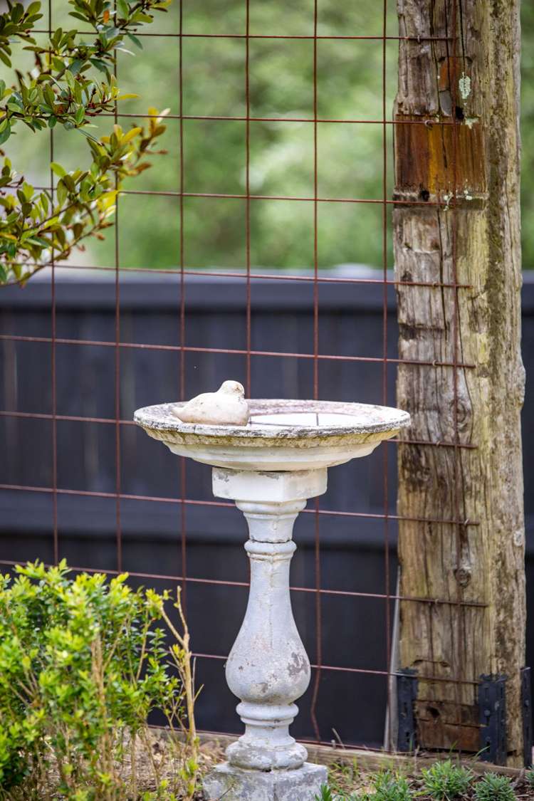 9 Elizabeth Street Beerescourt_29