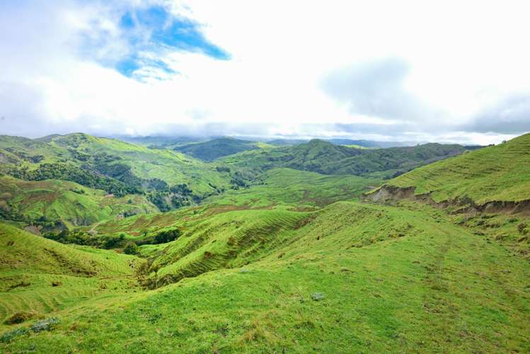 783 Glenroy Road Whangara_23