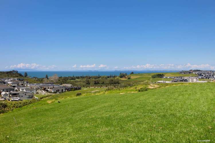 15 Ridgelea Road Long Bay_6