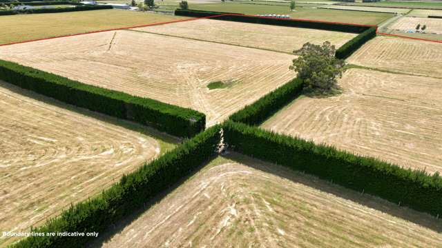 Two new stunning 4ha lots at Ashley Downs