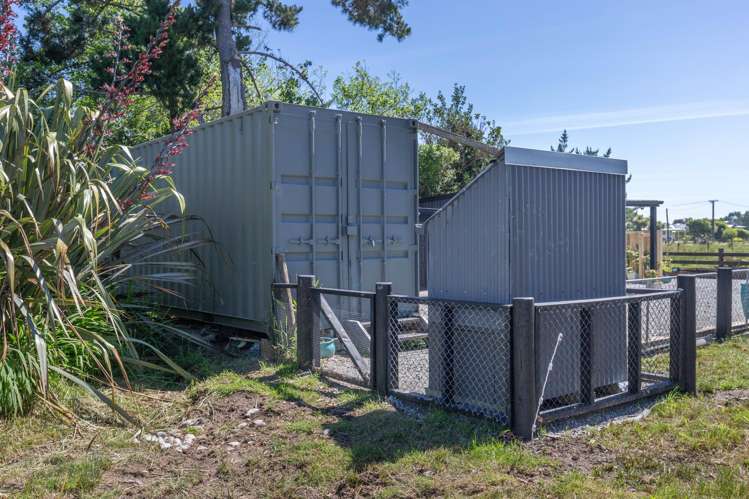 Pandora Avenue Camerons_13