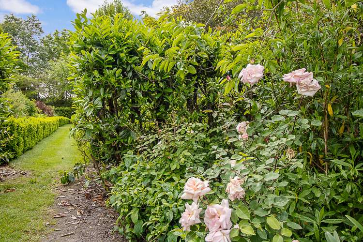 838 Rapaura Road Rapaura_42