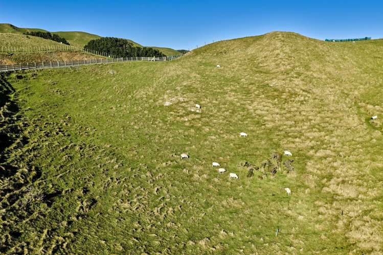 Lot 2,3 and 5/1275 Paekakariki Hill Road Paekakariki Hill_25