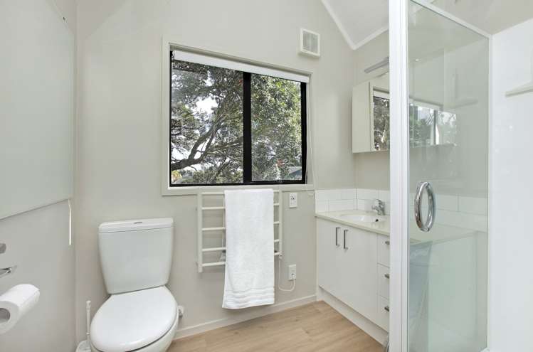 39 Douglas Street Ponsonby_13