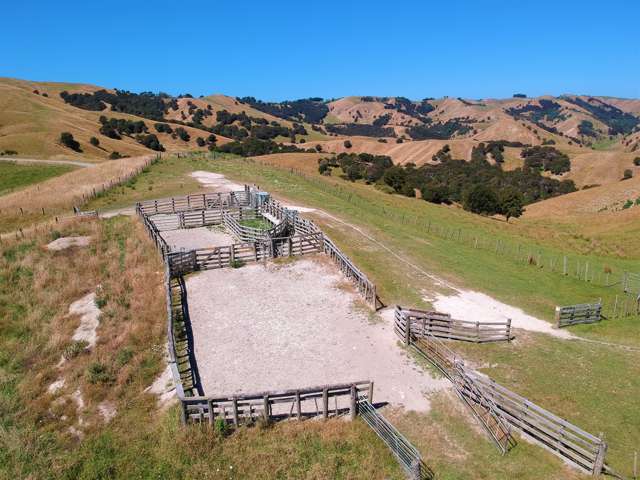 420 Hiranui Road Waipukurau_3