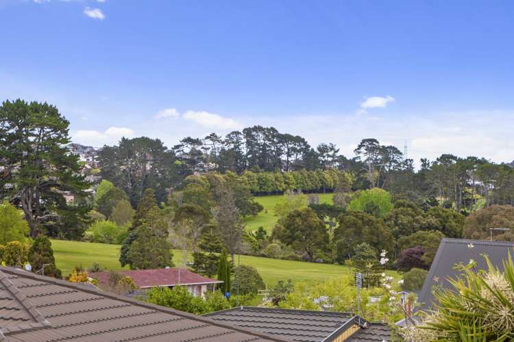 18 Penney Avenue Mount Roskill_5