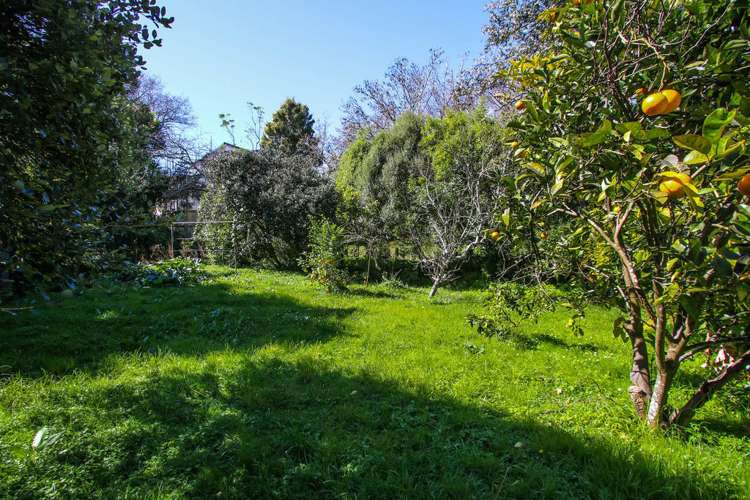 62 Botany Road Botany Downs_5