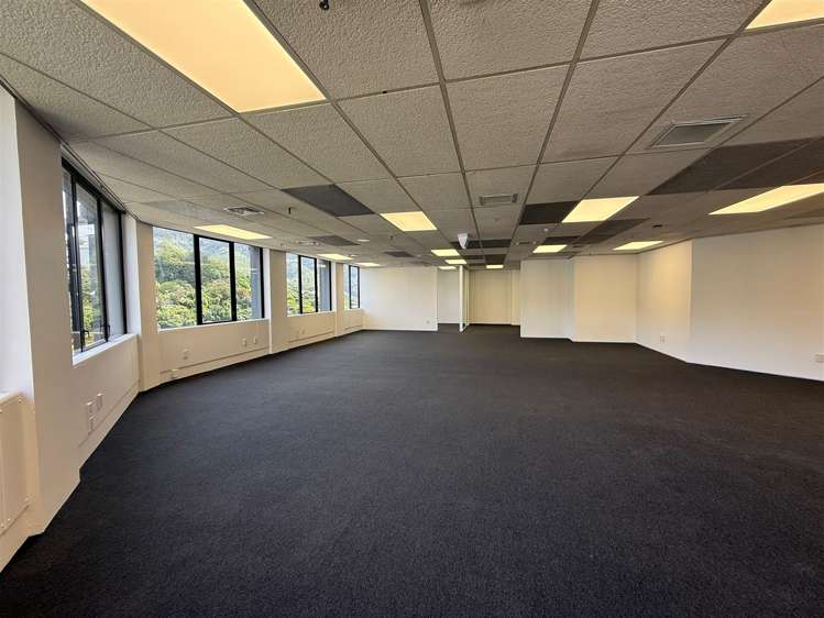 Level 6, 138 The Terrace Wellington Central_8