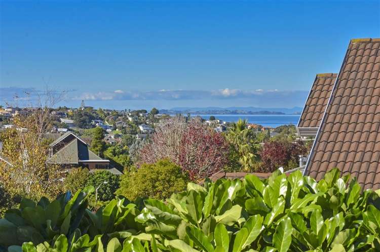 28 Penguin Drive Murrays Bay_5