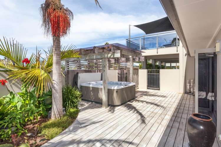 221 Onemana Drive Onemana_5