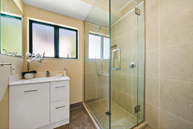 8a Locke Avenue Mount Roskill_14