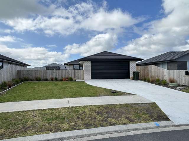 One Tree Point Family Home
