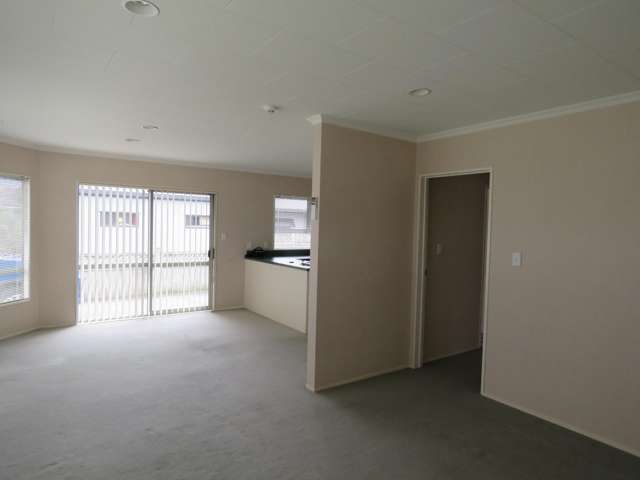 155 Carrington St Vogeltown_2