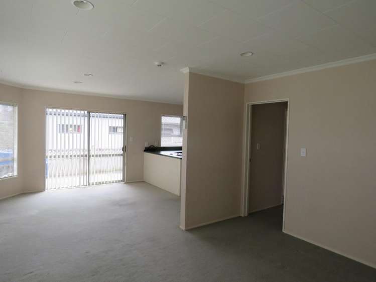 155 Carrington St Vogeltown_2
