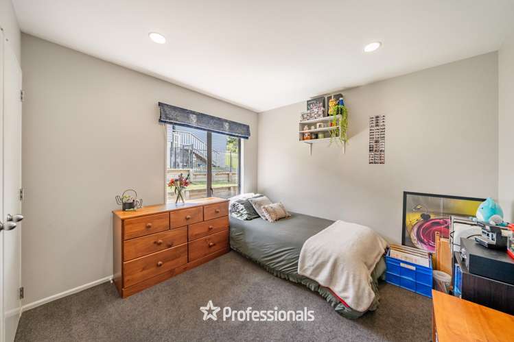 8 Tuhua Lane Brown Owl_14