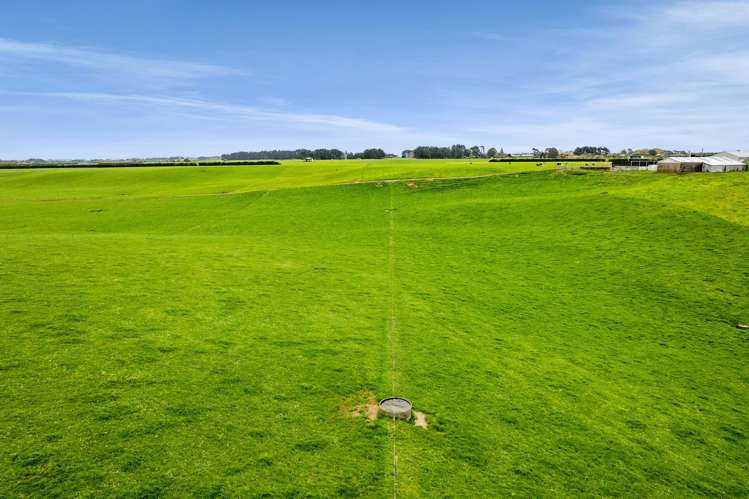 226 Ngarongo Road Normanby_20