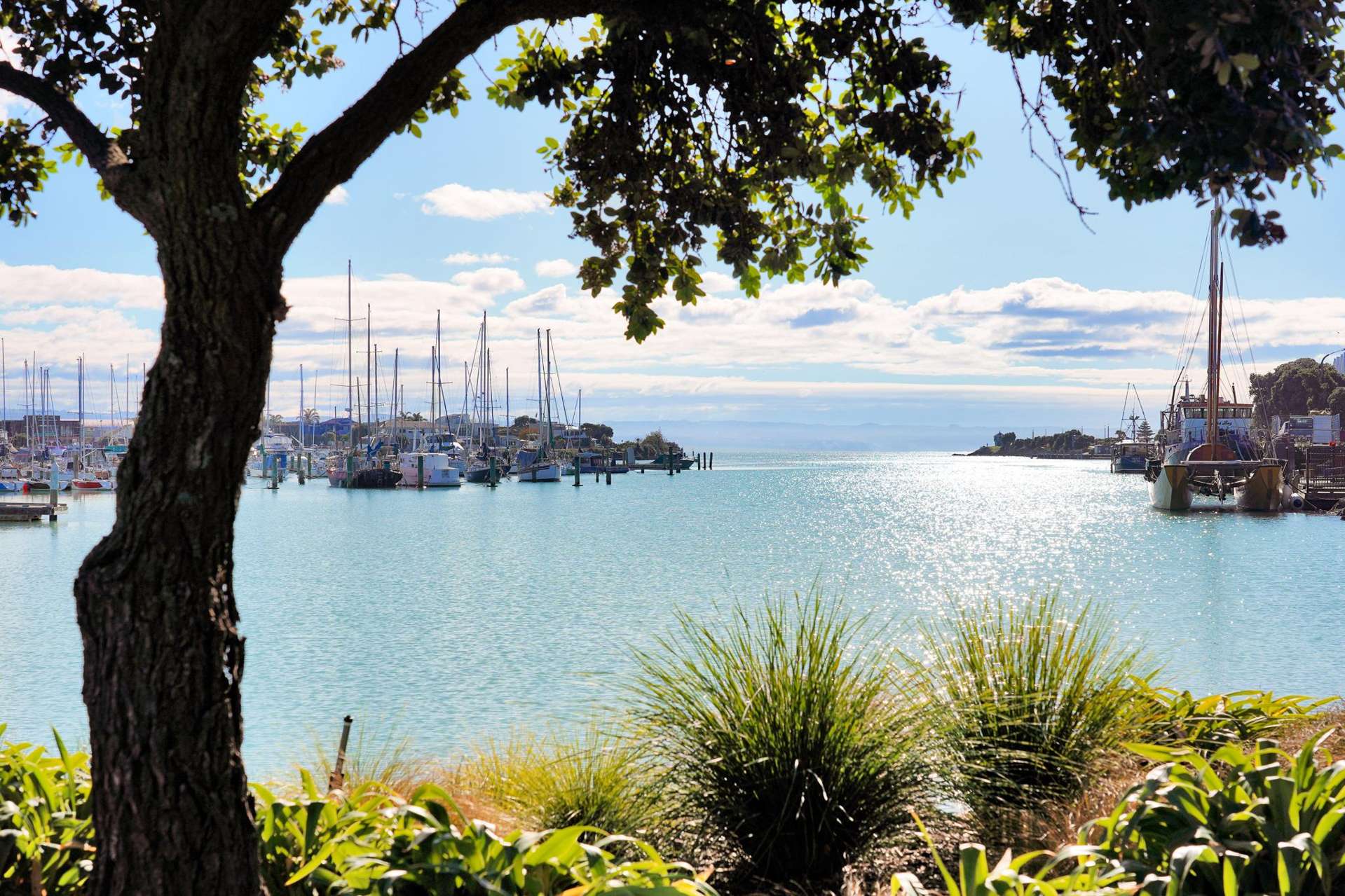 102/14D West Quay Ahuriri_0