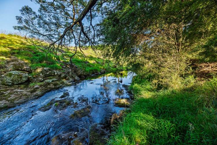 Tom Saville Road Kerikeri_5