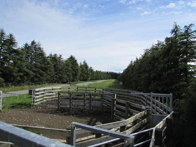 376 Anama Valetta Road Valetta_8