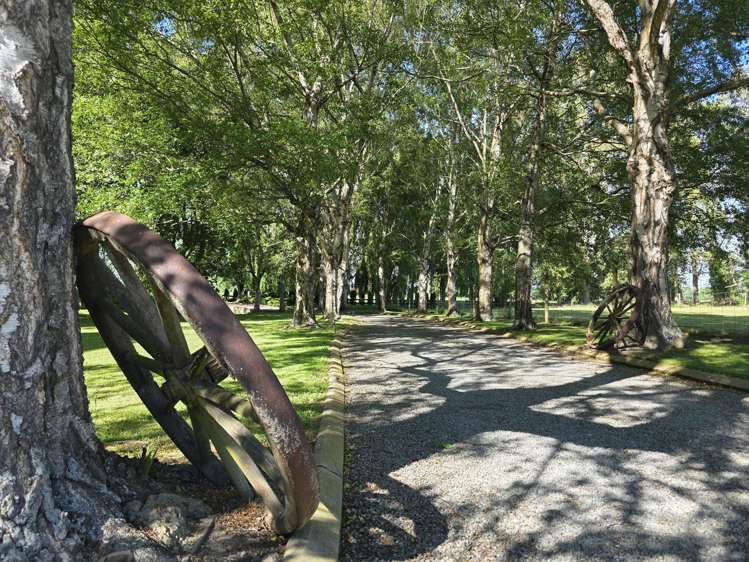 32 Harrison Road Winchester_26