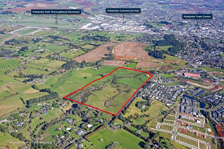 50 Pukekohe East Road Pukekohe_1