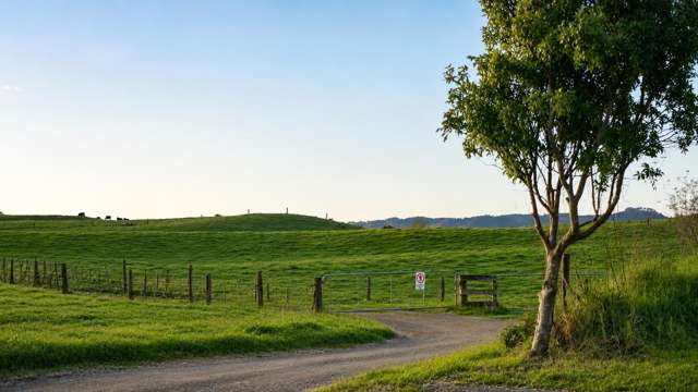 47 Blunt Road Te Kauwhata_1
