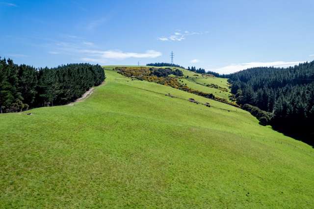 Waihola Hill Road Clarendon_2