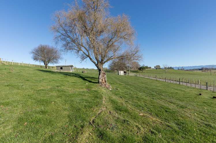 Lot 5 - 725 Lindsay Road_5